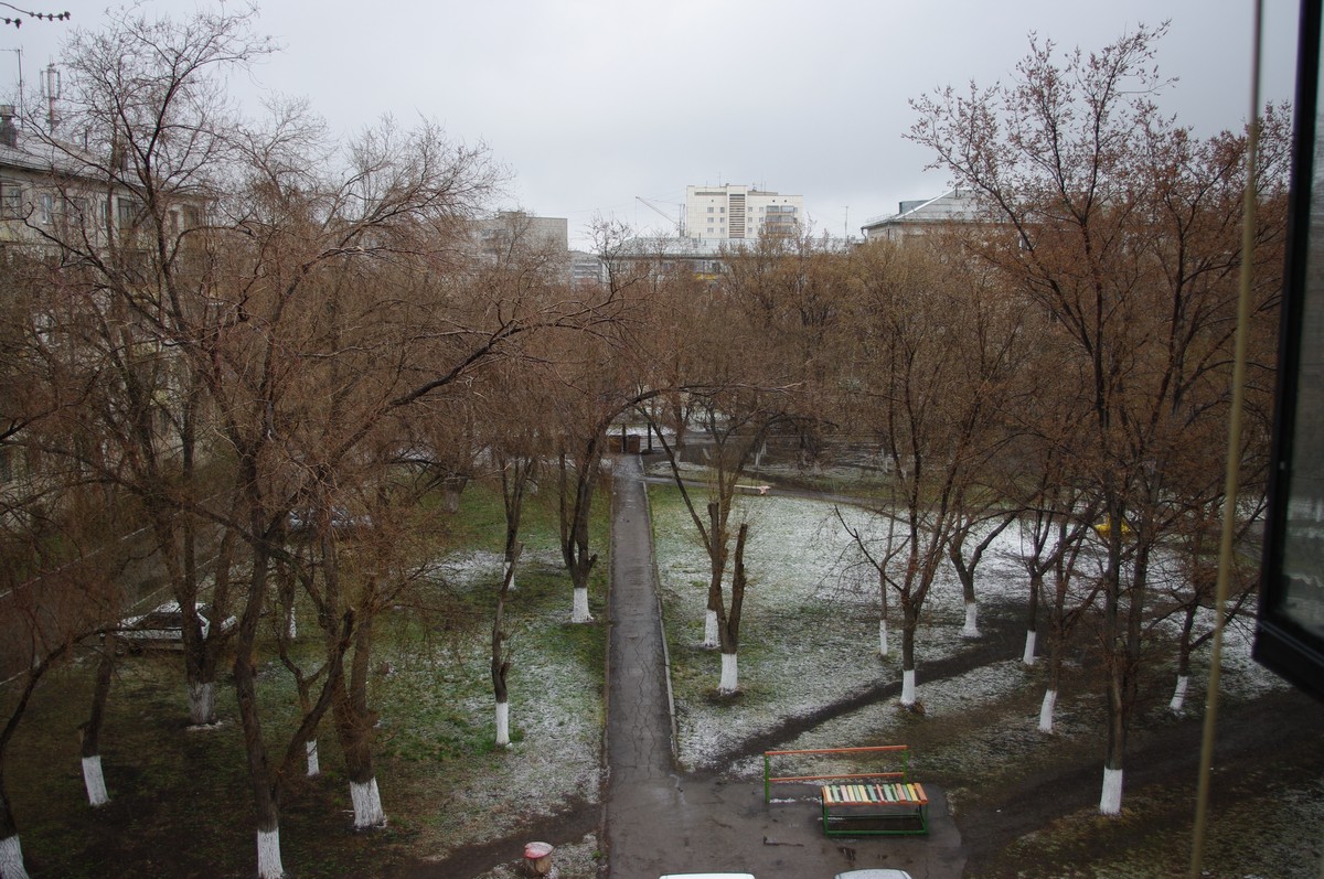 IMGP2647
