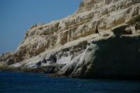 1901