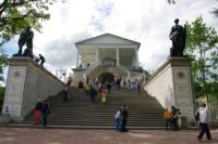 32010