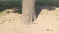 49012