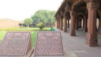 49099