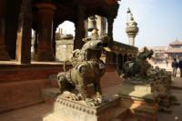 49427
