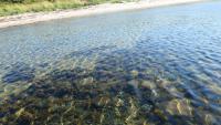 53167