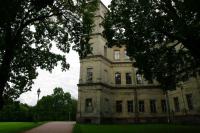 54043